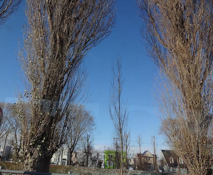 b0285060_1154244.jpg
