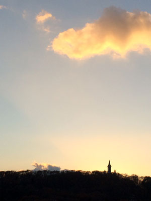 c0050264_1911768.jpg