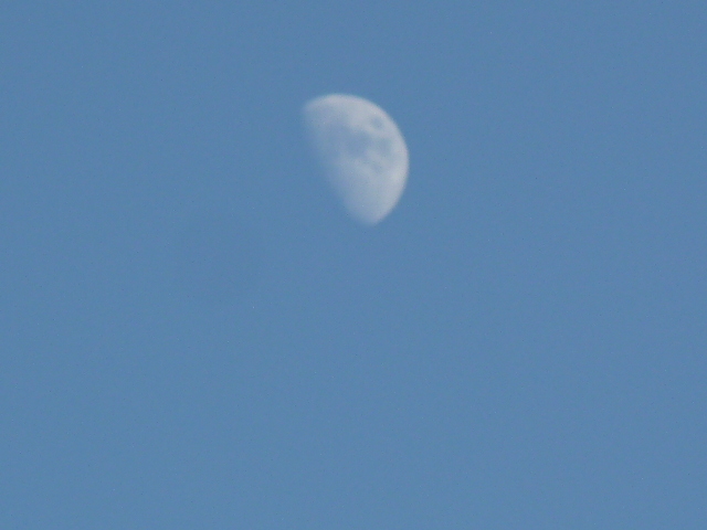 e0278968_21320421.jpg