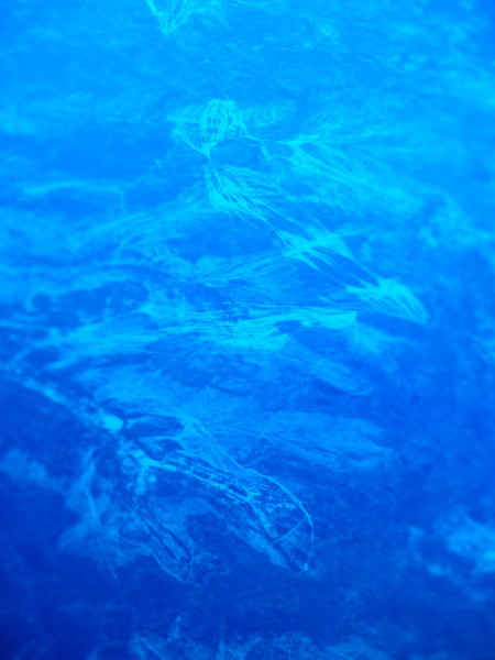 c0122670_08521524.jpg