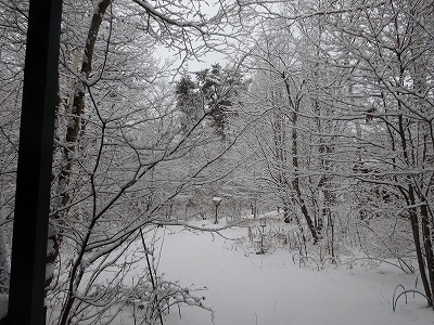 e0222588_16151096.jpg