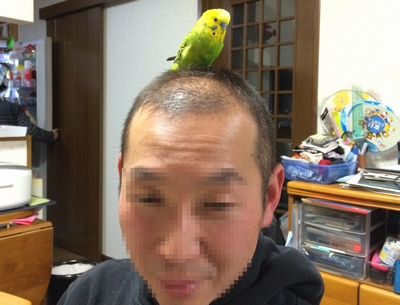 b0035391_2193129.jpg