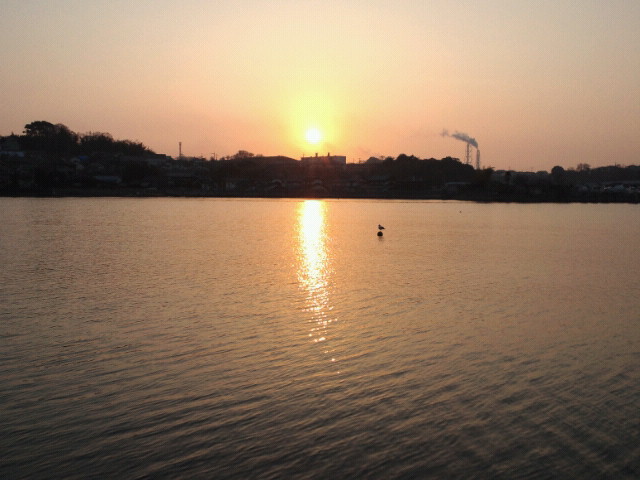 f0175403_93492.jpg