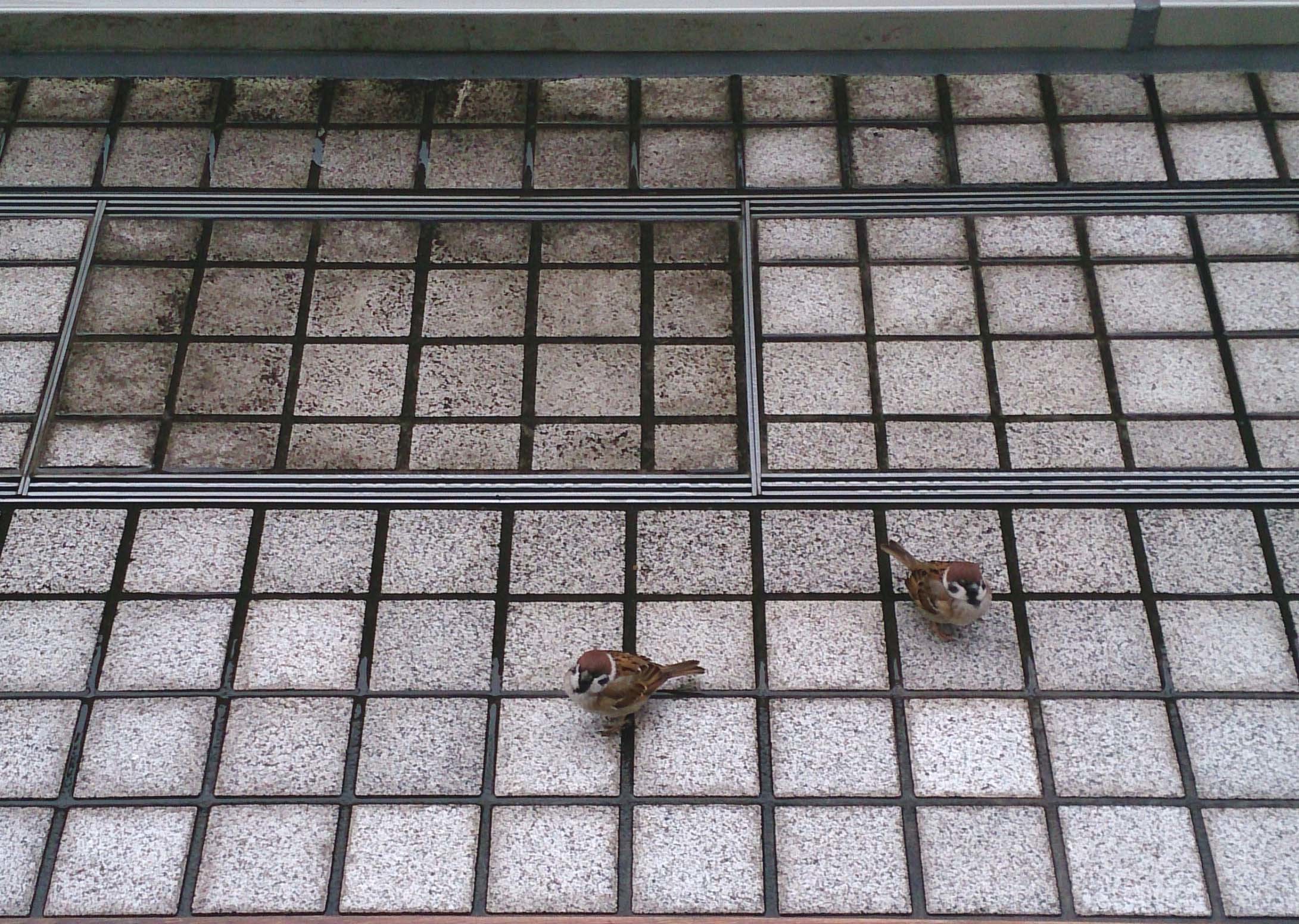 d0053024_16042918.jpg