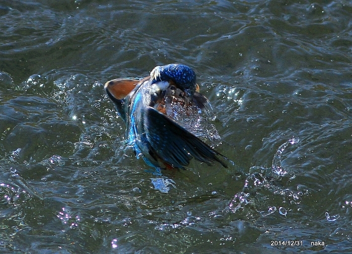 f0281533_16442871.jpg