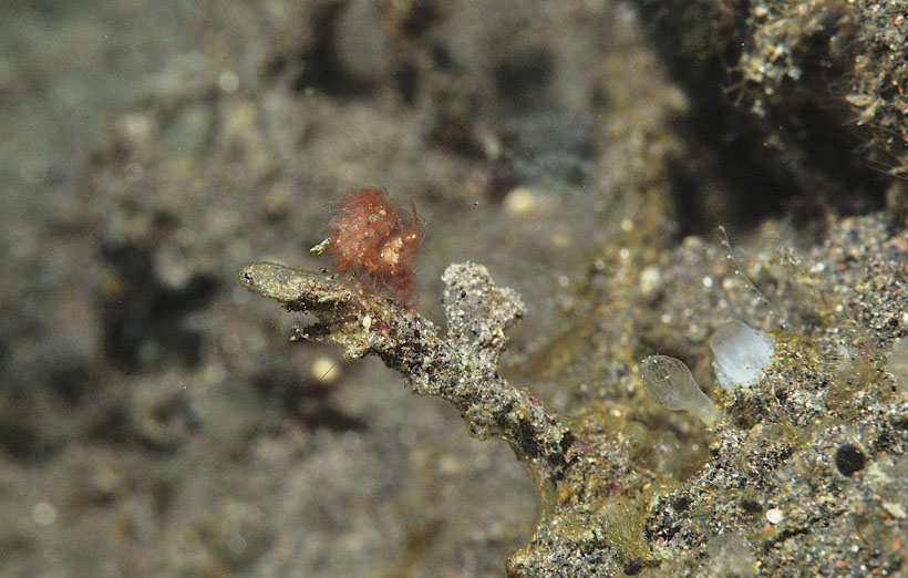 b0042837_415074.jpg