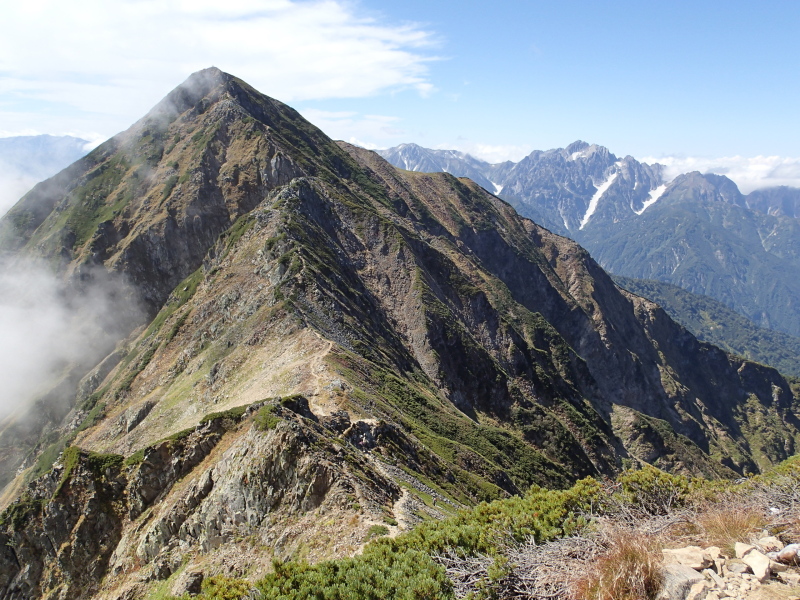 b0190242_1058845.jpg