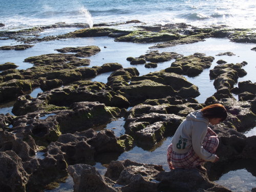 f0347942_17214134.jpg