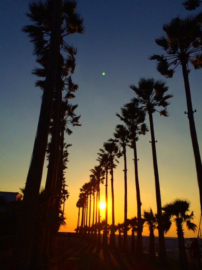 c0343447_95556.jpg