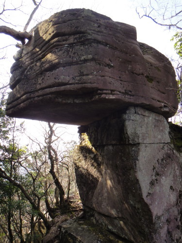 c0179351_10242207.jpg
