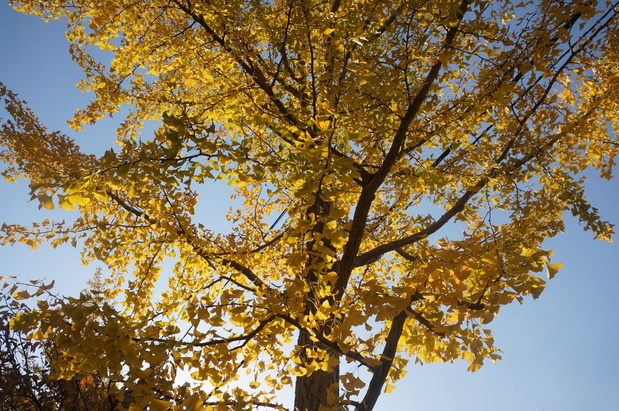 f0257756_23355397.jpg