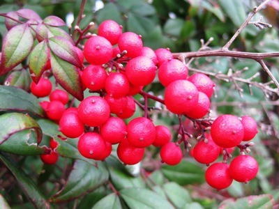 c0190960_2138030.jpg