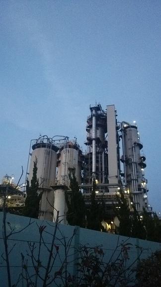 c0172261_8161629.jpg