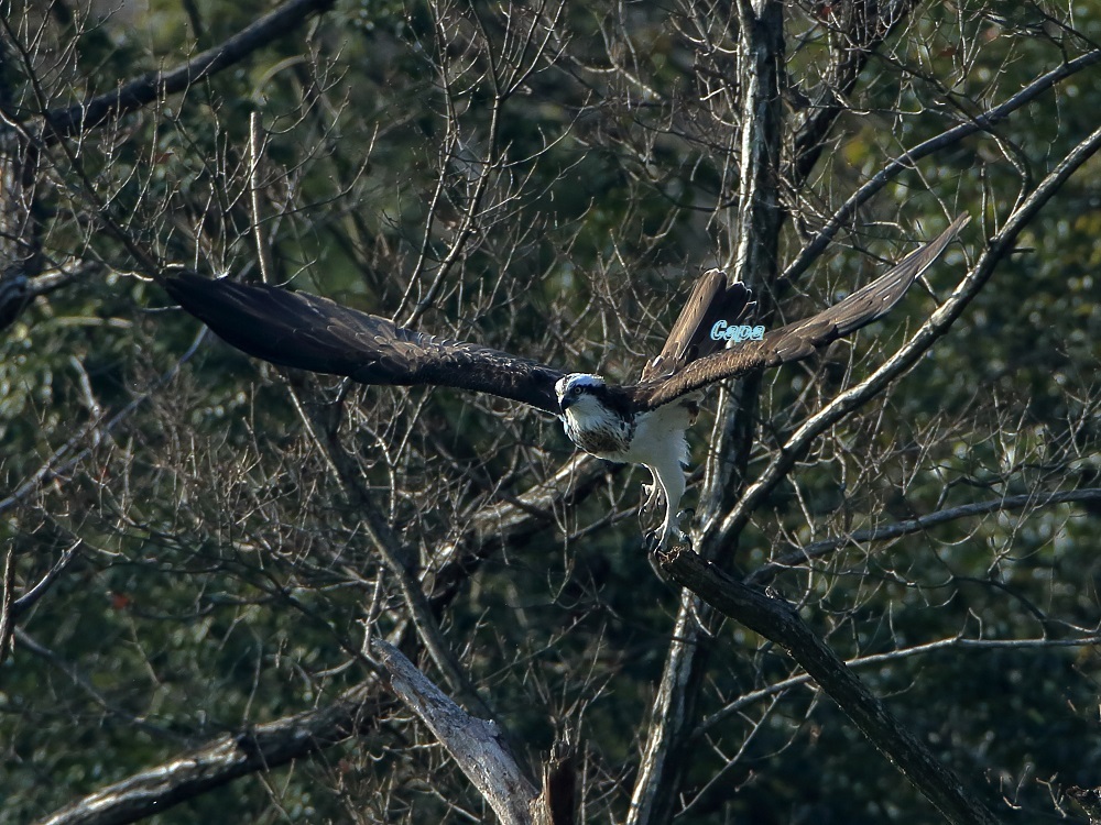 a0330864_15460749.jpg