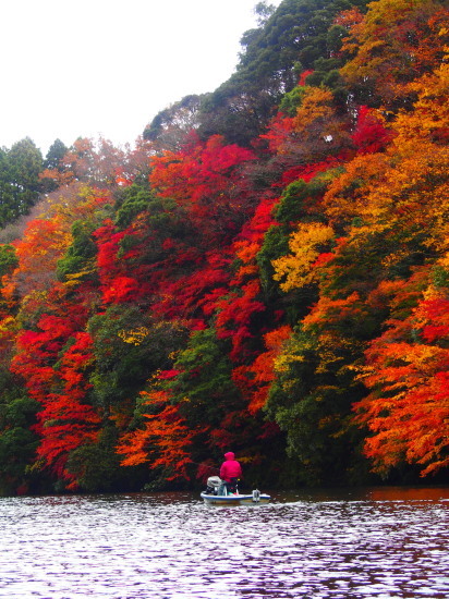 c0122670_11044717.jpg