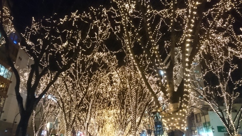c0058978_03132359.jpg