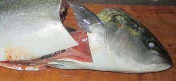 f0003283_21062383.jpg