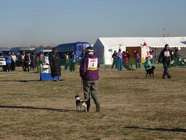 e0100584_2334555.jpg