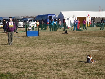 e0100584_234437.jpg