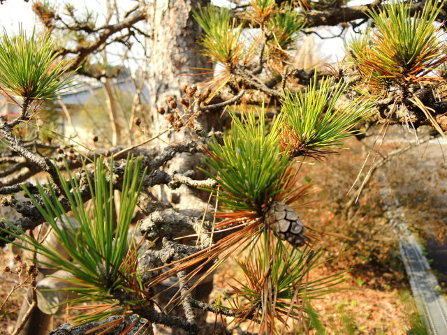 f0100593_13521951.jpg