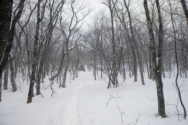 e0137200_16383861.jpg