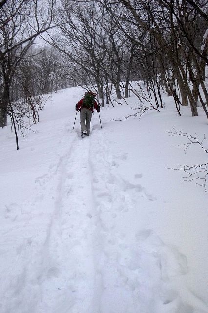 e0137200_1639621.jpg