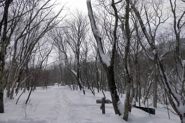 e0137200_16413210.jpg