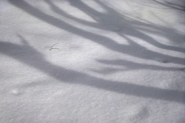 e0137200_16415648.jpg