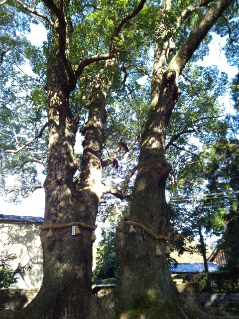a0327001_12403666.jpg