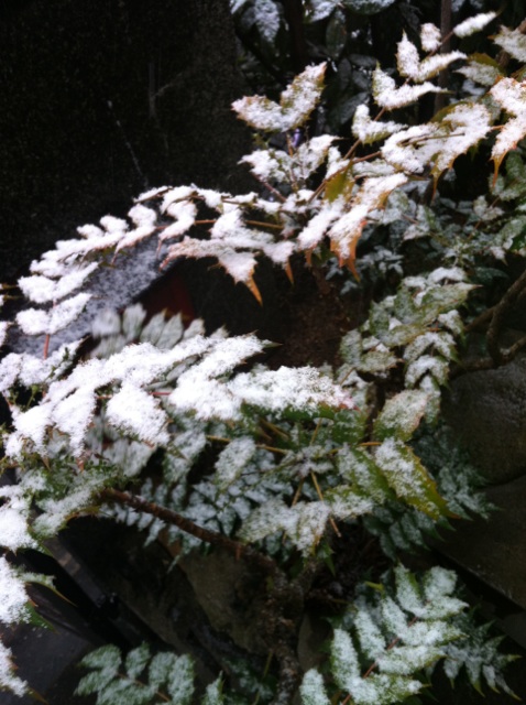 c0180209_20123313.jpg