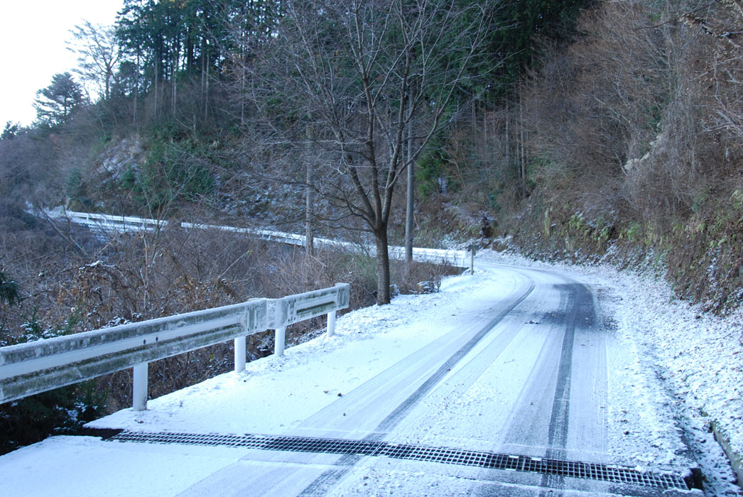 f0206417_1612132.jpg