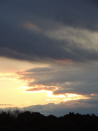f0150620_1883387.jpg