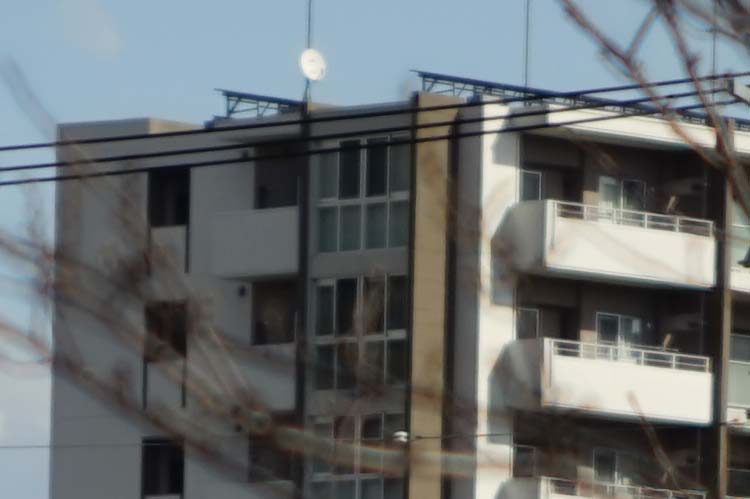 d0032222_12491963.jpg