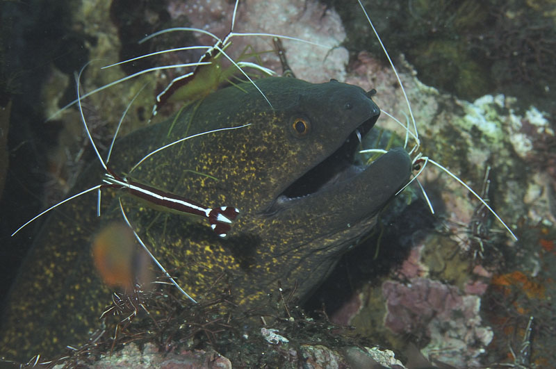 b0042837_285671.jpg