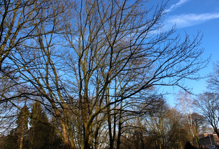 c0153740_229599.jpg