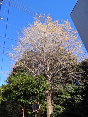 f0141840_03460809.jpg