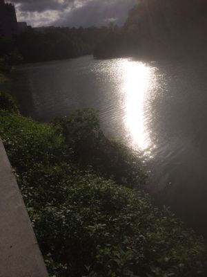 b0188941_16325844.jpg