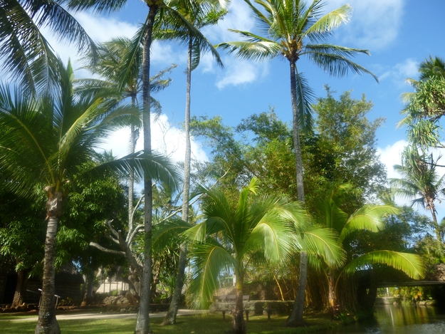 e0298866_1493269.jpg