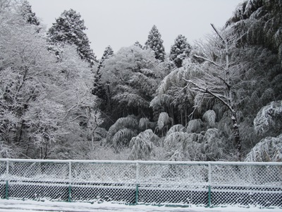 b0149071_1731810.jpg