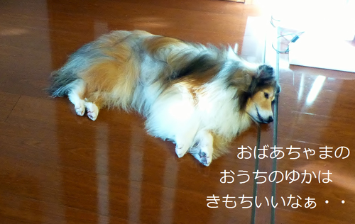 a0157174_20205912.png