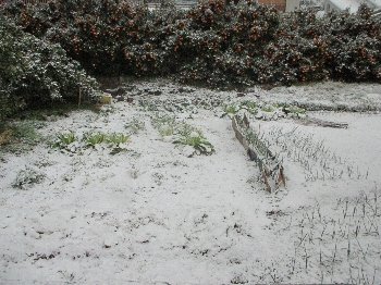 f0003283_12360145.jpg