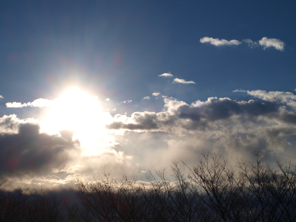 f0108399_8413257.jpg