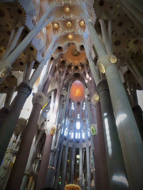 b0064411_17050924.jpg