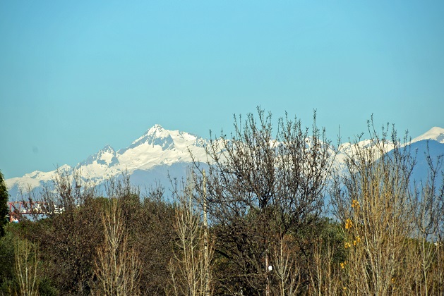 a0151913_1139178.jpg
