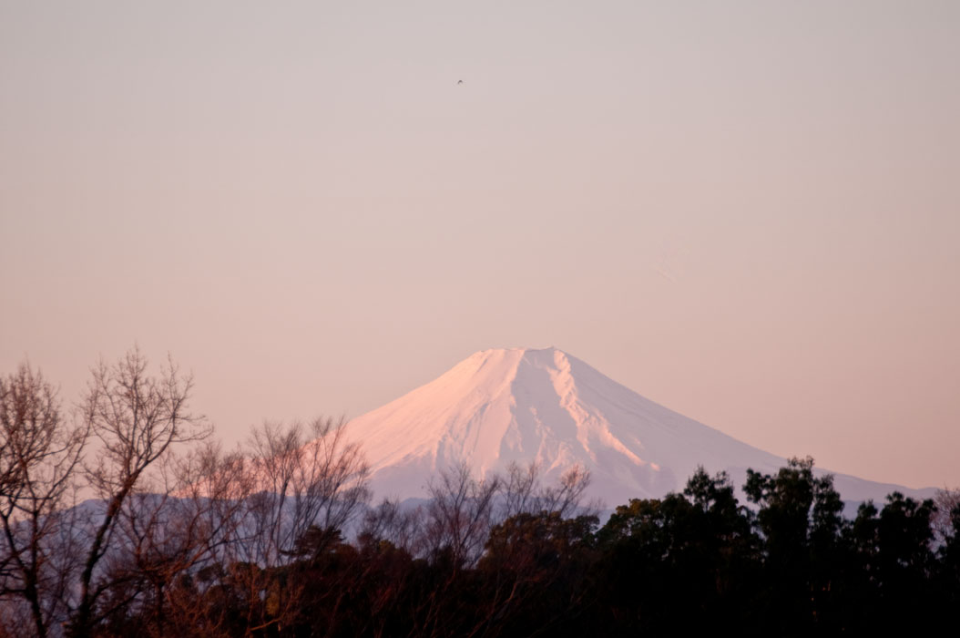 f0206417_17131461.jpg