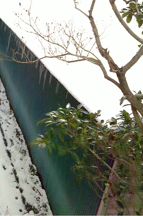 c0097620_1927341.jpg