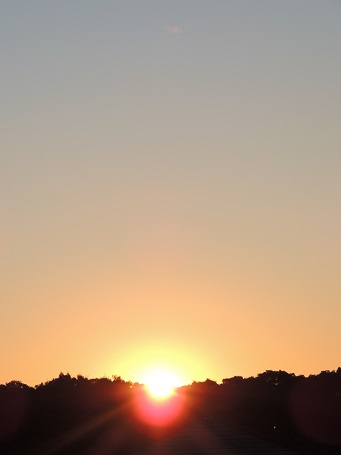 f0150620_16451627.jpg