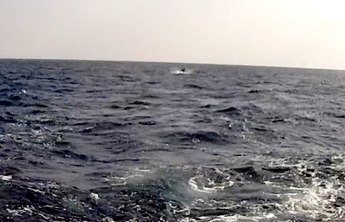 a0050227_16125477.jpg