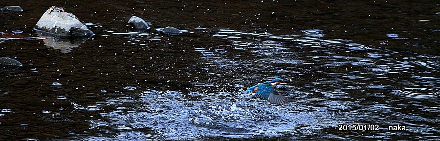 f0281533_16150294.jpg