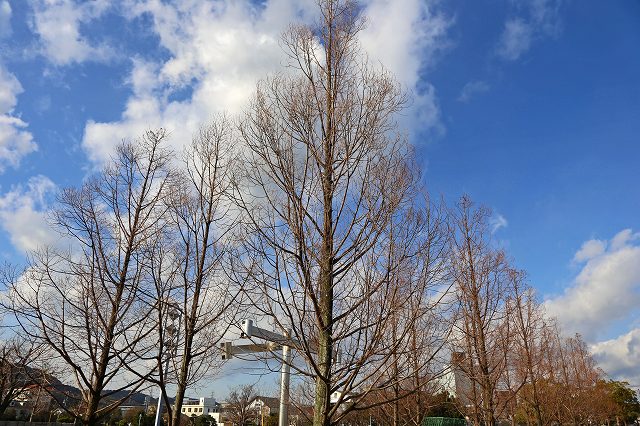 a0242438_16283575.jpg
